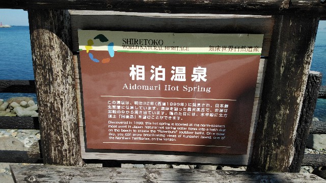 f:id:wanpaku-yaseiji:20190523022653j:image f:id:wanpaku-yaseiji:20190523022653j:image