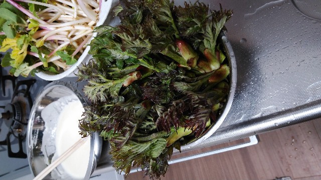 f:id:wanpaku-yaseiji:20190528022332j:image f:id:wanpaku-yaseiji:20190528022332j:image