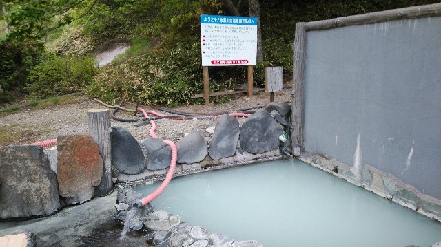 f:id:wanpaku-yaseiji:20190604012151j:image f:id:wanpaku-yaseiji:20190604012151j:image