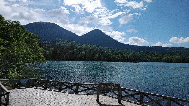 f:id:wanpaku-yaseiji:20190607005305j:image f:id:wanpaku-yaseiji:20190607005305j:image