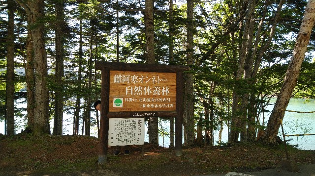 f:id:wanpaku-yaseiji:20190607013052j:image f:id:wanpaku-yaseiji:20190607013052j:image