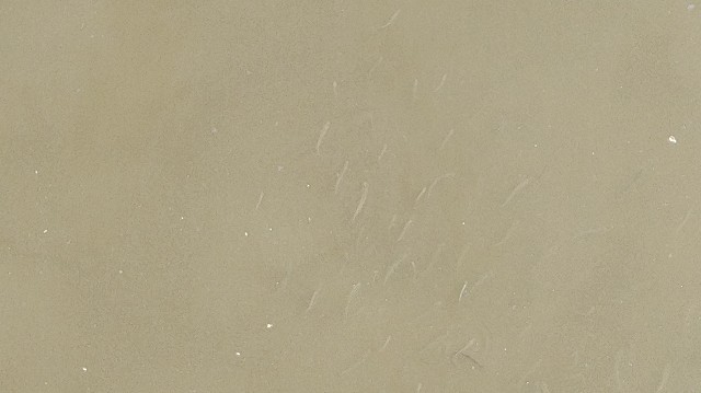 f:id:wanpaku-yaseiji:20190607235945j:image f:id:wanpaku-yaseiji:20190607235945j:image