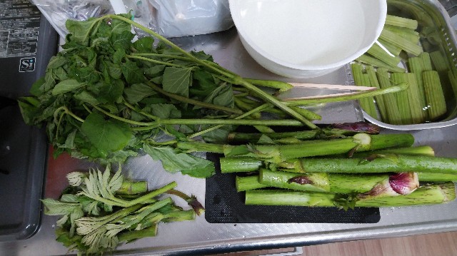 f:id:wanpaku-yaseiji:20190609125358j:image f:id:wanpaku-yaseiji:20190609125358j:image