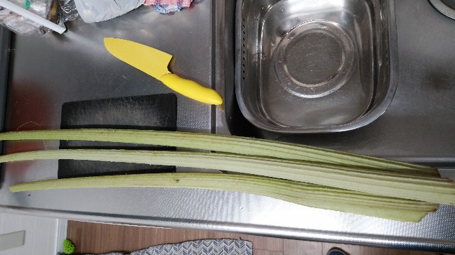f:id:wanpaku-yaseiji:20190610124451j:image f:id:wanpaku-yaseiji:20190610124451j:image