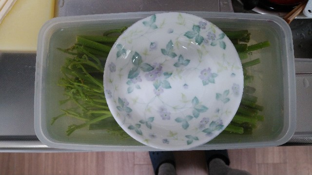 f:id:wanpaku-yaseiji:20190611192507j:image f:id:wanpaku-yaseiji:20190611192507j:image