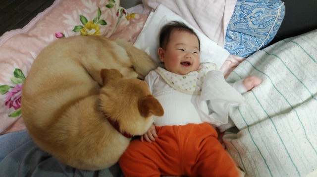 f:id:wanpaku-yaseiji:20190613215134j:image f:id:wanpaku-yaseiji:20190613215134j:image