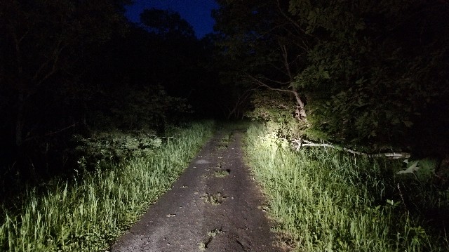 f:id:wanpaku-yaseiji:20190619011255j:image f:id:wanpaku-yaseiji:20190619011255j:image