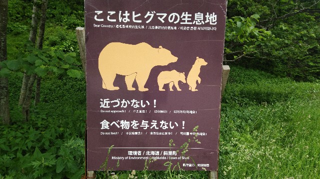 f:id:wanpaku-yaseiji:20190625123320j:image