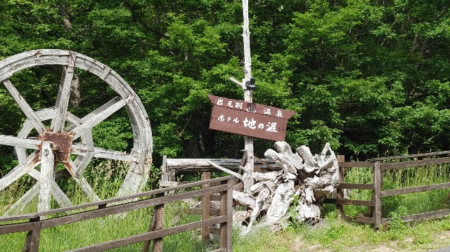 f:id:wanpaku-yaseiji:20190625124200j:image