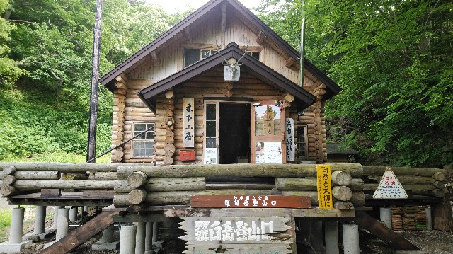 f:id:wanpaku-yaseiji:20190625124236j:image