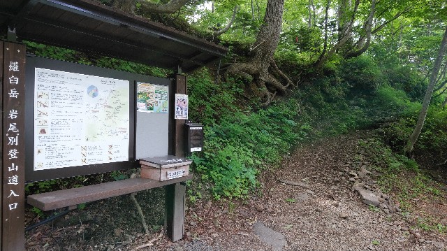 f:id:wanpaku-yaseiji:20190625124256j:image