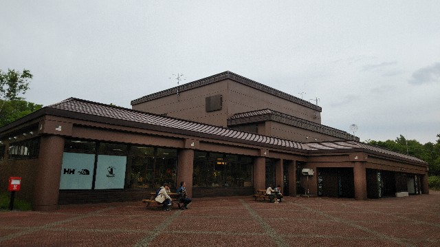 f:id:wanpaku-yaseiji:20190626000613j:image