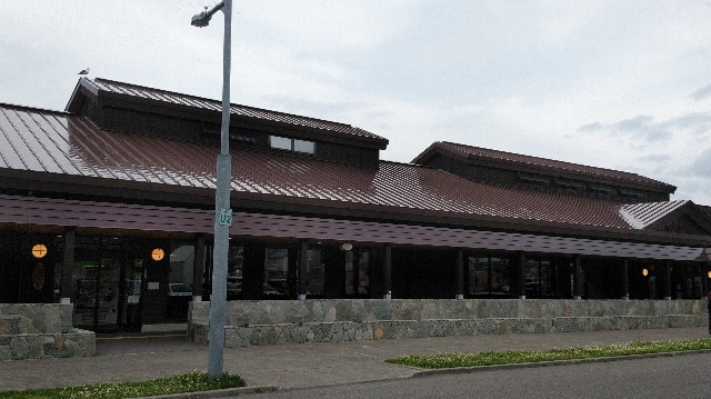 f:id:wanpaku-yaseiji:20190626002219j:image