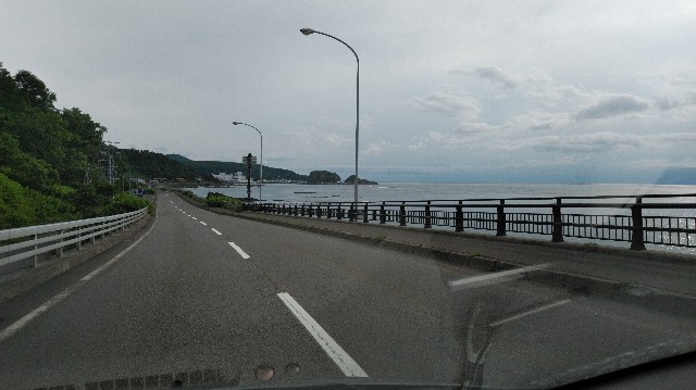 f:id:wanpaku-yaseiji:20190626003220j:image