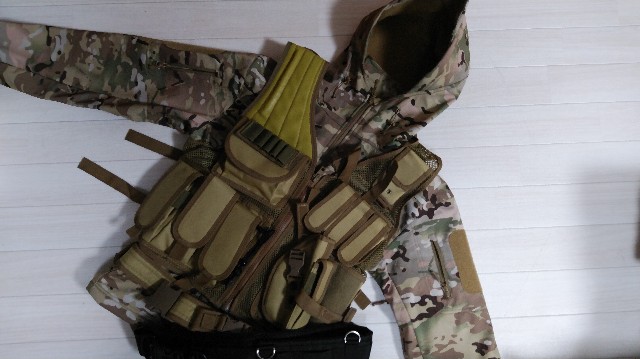 f:id:wanpaku-yaseiji:20190702123629j:image f:id:wanpaku-yaseiji:20190702123629j:image