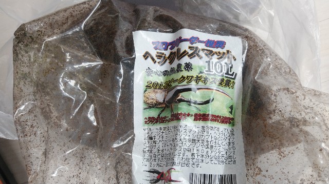 f:id:wanpaku-yaseiji:20190705121828j:image f:id:wanpaku-yaseiji:20190705121828j:image