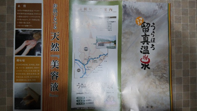 f:id:wanpaku-yaseiji:20190711002516j:image