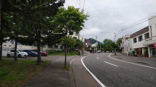 f:id:wanpaku-yaseiji:20190711003123j:image