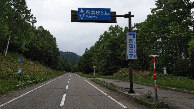 f:id:wanpaku-yaseiji:20190711005529j:image