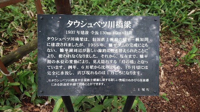 f:id:wanpaku-yaseiji:20190711010038j:image