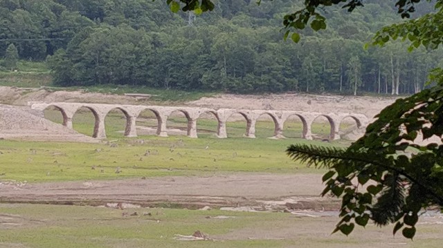 f:id:wanpaku-yaseiji:20190711010105j:image