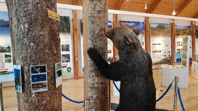 f:id:wanpaku-yaseiji:20190711012743j:image