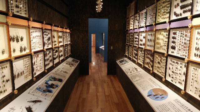 f:id:wanpaku-yaseiji:20190711013514j:image