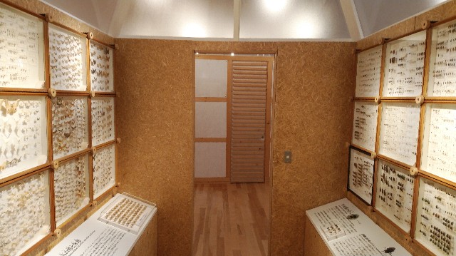 f:id:wanpaku-yaseiji:20190711013547j:image