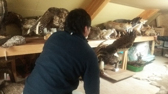 f:id:wanpaku-yaseiji:20190711013800j:image