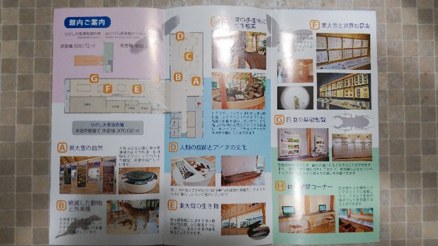 f:id:wanpaku-yaseiji:20190711015619j:image