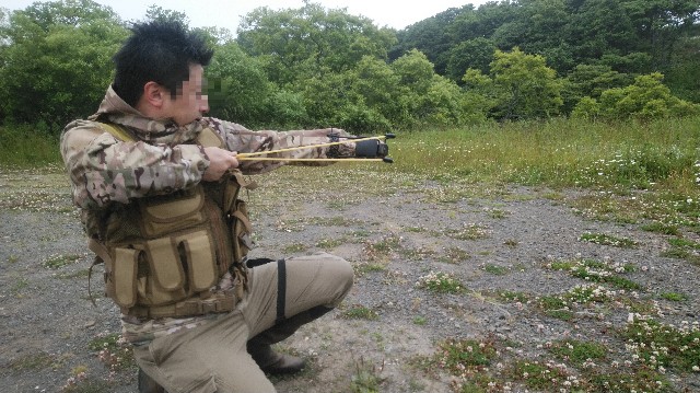 f:id:wanpaku-yaseiji:20190719121838j:image f:id:wanpaku-yaseiji:20190719121838j:image
