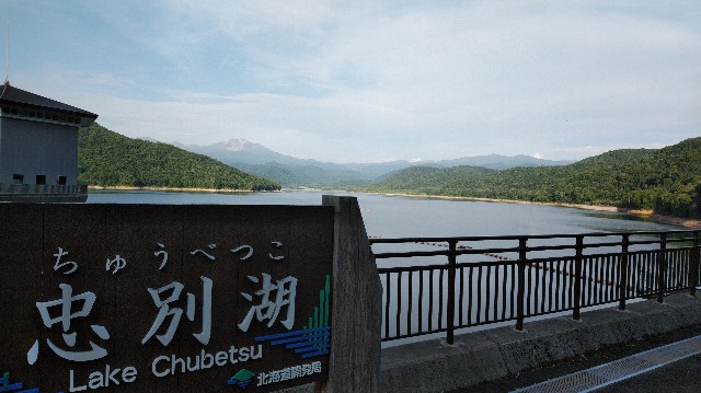 f:id:wanpaku-yaseiji:20190811020920j:image f:id:wanpaku-yaseiji:20190811020920j:image
