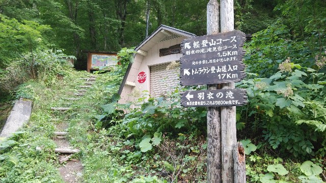 f:id:wanpaku-yaseiji:20190811022007j:image f:id:wanpaku-yaseiji:20190811022007j:image