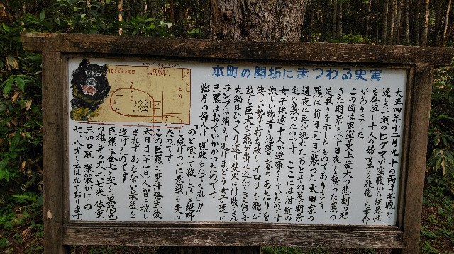 f:id:wanpaku-yaseiji:20190813123220j:image f:id:wanpaku-yaseiji:20190813123220j:image