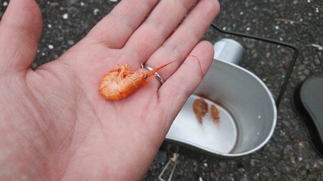 f:id:wanpaku-yaseiji:20190814000930j:image f:id:wanpaku-yaseiji:20190814000930j:image