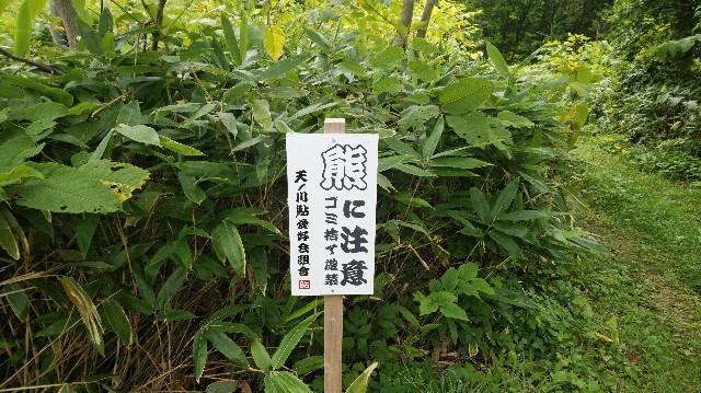 f:id:wanpaku-yaseiji:20190903001328j:image f:id:wanpaku-yaseiji:20190903001328j:image