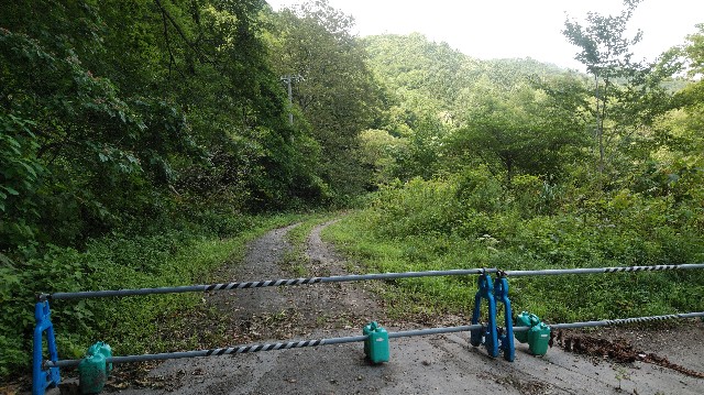 f:id:wanpaku-yaseiji:20190904011859j:image f:id:wanpaku-yaseiji:20190904011859j:image