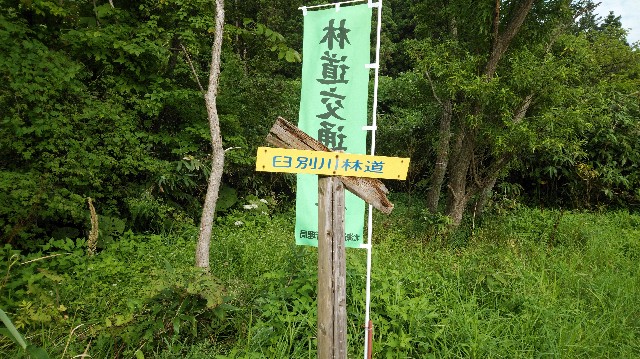 f:id:wanpaku-yaseiji:20190904014150j:image f:id:wanpaku-yaseiji:20190904014150j:image