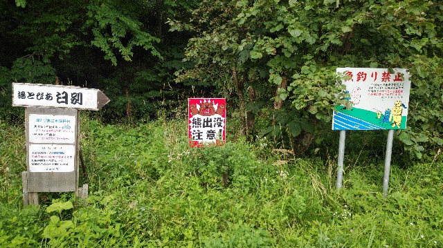 f:id:wanpaku-yaseiji:20190904014450j:image f:id:wanpaku-yaseiji:20190904014450j:image