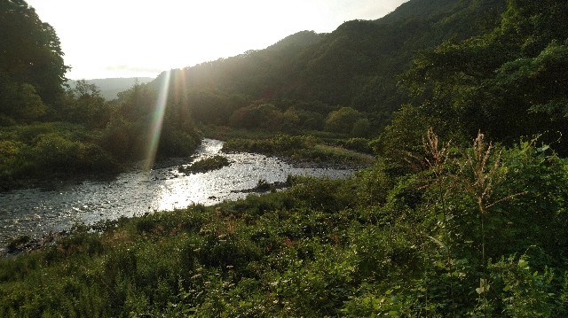 f:id:wanpaku-yaseiji:20190904014816j:image f:id:wanpaku-yaseiji:20190904014816j:image