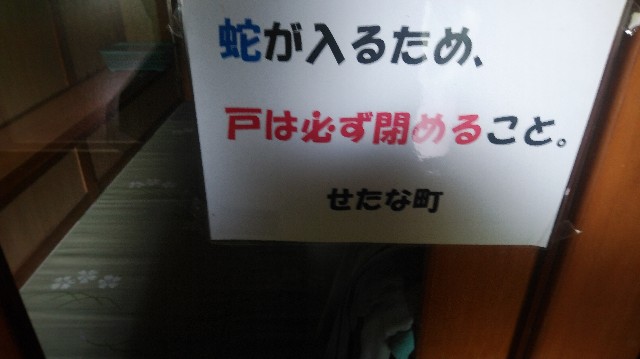 f:id:wanpaku-yaseiji:20190904015531j:image f:id:wanpaku-yaseiji:20190904015531j:image