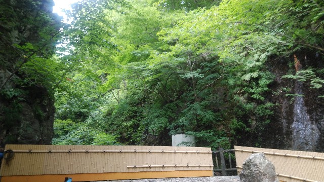 f:id:wanpaku-yaseiji:20190904020058j:image f:id:wanpaku-yaseiji:20190904020058j:image