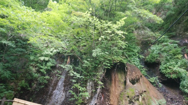 f:id:wanpaku-yaseiji:20190904020120j:image f:id:wanpaku-yaseiji:20190904020120j:image