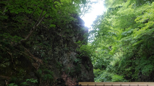 f:id:wanpaku-yaseiji:20190904020145j:image f:id:wanpaku-yaseiji:20190904020145j:image