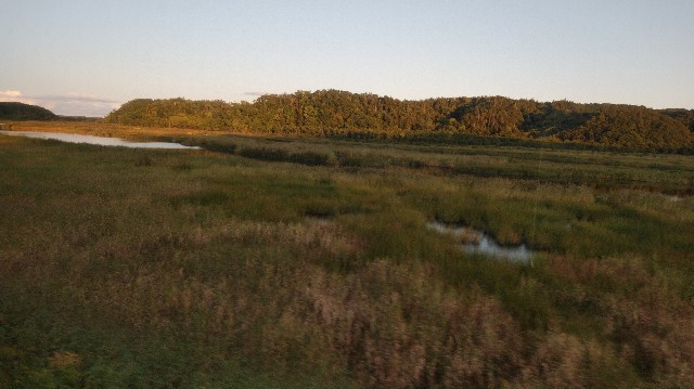 f:id:wanpaku-yaseiji:20190914135846j:image