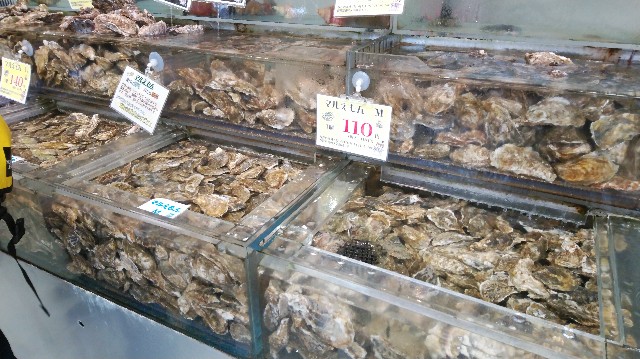 f:id:wanpaku-yaseiji:20190914141340j:image