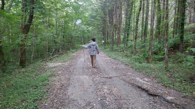 f:id:wanpaku-yaseiji:20190915223424j:image f:id:wanpaku-yaseiji:20190915223424j:image