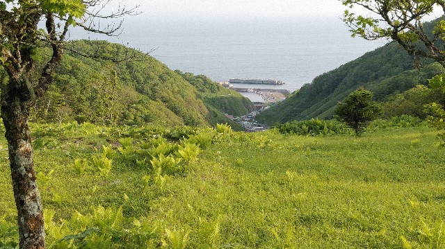 f:id:wanpaku-yaseiji:20190917122635j:image