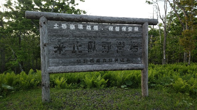 f:id:wanpaku-yaseiji:20190917125811j:image