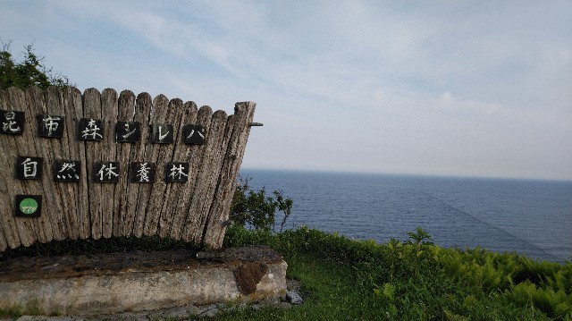 f:id:wanpaku-yaseiji:20190917132009j:image